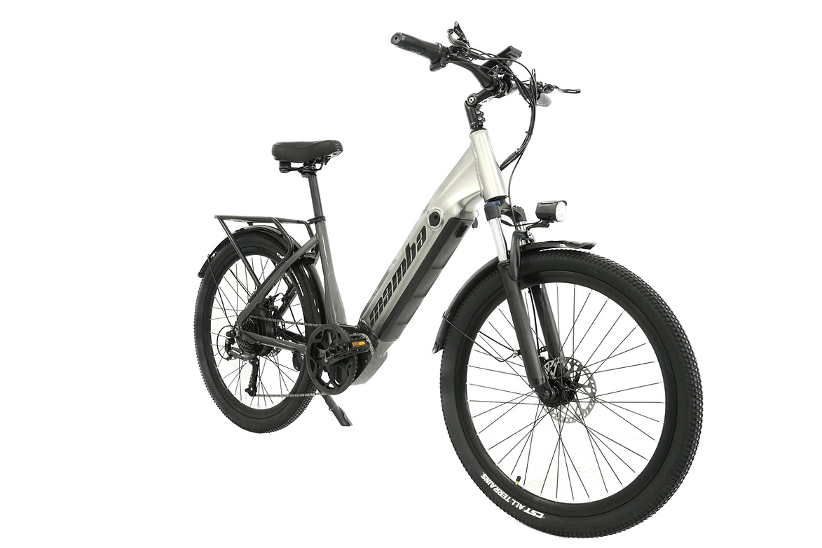 Test Mamba Savannah Electric Bike 48V 17Ah Silver