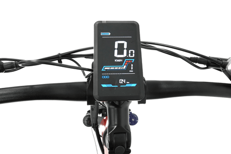 Test Mamba Savannah Electric Bike 48V 17Ah Silver